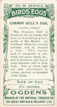 1908 Ogden's Cigarettes British Birds' Eggs #16 Common Gull Back