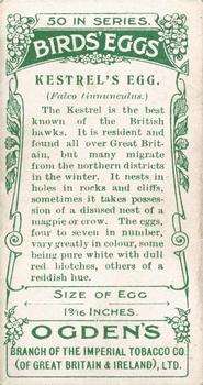 1908 Ogden's Cigarettes British Birds' Eggs #20 Kestrel Back