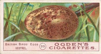 1908 Ogden's Cigarettes British Birds' Eggs #20 Kestrel Front