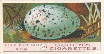 1908 Ogden's Cigarettes British Birds' Eggs #21 Jackdaw Front
