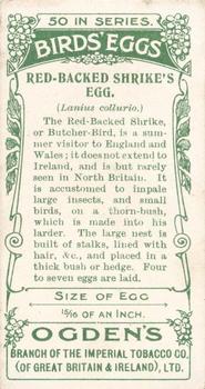 1908 Ogden's Cigarettes British Birds' Eggs #31 Red-Backed Shrike Back