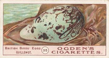 1908 Ogden's Cigarettes British Birds' Eggs #35 Guillemot Front