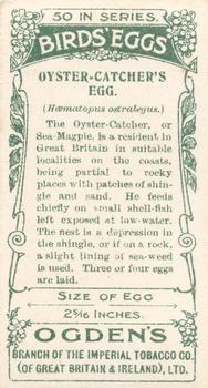 1908 Ogden's Cigarettes British Birds' Eggs #39 Oystercatcher Back
