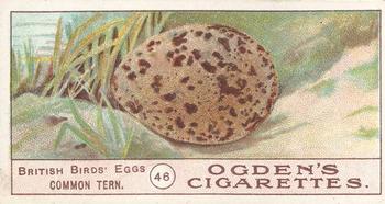 1908 Ogden's Cigarettes British Birds' Eggs #46 Common Tern Front