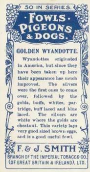 1908 Studio Fowls, Pigeons & Dogs #2 Golden Wyandotte Back