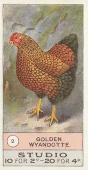 1908 Studio Fowls, Pigeons & Dogs #2 Golden Wyandotte Front