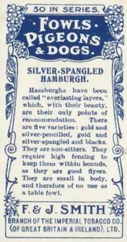 1908 Studio Fowls, Pigeons & Dogs #5 Silver-Spangled Hamburgh Back
