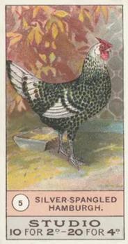 1908 Studio Fowls, Pigeons & Dogs #5 Silver-Spangled Hamburgh Front