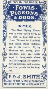 1908 Studio Fowls, Pigeons & Dogs #9 Homer Back
