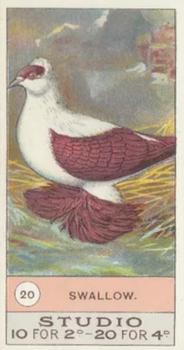 1908 Studio Fowls, Pigeons & Dogs #20 Swallow Front