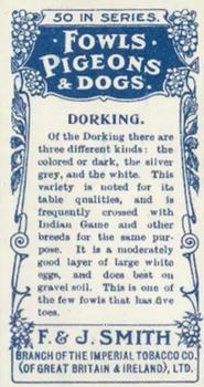 1908 Studio Fowls, Pigeons & Dogs #24 Dorking Back