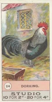 1908 Studio Fowls, Pigeons & Dogs #24 Dorking Front