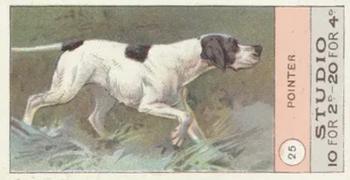 1908 Studio Fowls, Pigeons & Dogs #25 Pointer Front