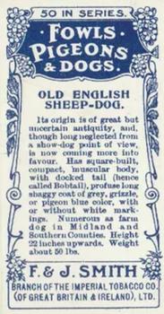 1908 Studio Fowls, Pigeons & Dogs #44 Old English Sheepdog Back