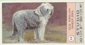 1908 Studio Fowls, Pigeons & Dogs #44 Old English Sheepdog Front