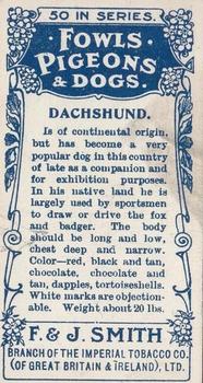 1908 Studio Fowls, Pigeons & Dogs #49 Dachshund Back