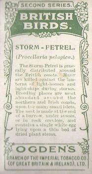 1909 Ogden's British Birds 2nd Series #56 Storm-Petrel Back
