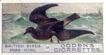 1909 Ogden's British Birds 2nd Series #56 Storm-Petrel Front