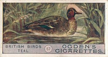 1909 Ogden's British Birds 2nd Series #57 Teal Front