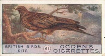 1909 Ogden's British Birds 2nd Series #61 Kite Front