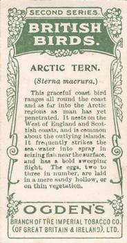 1909 Ogden's British Birds 2nd Series #64 Arctic Tern Back