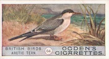 1909 Ogden's British Birds 2nd Series #64 Arctic Tern Front