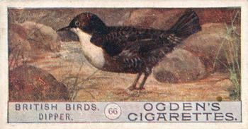 1909 Ogden's British Birds 2nd Series #66 Dipper Front