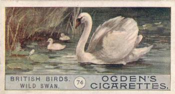 1909 Ogden's British Birds 2nd Series #74 Wild Swan Front