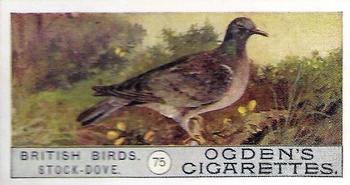 1909 Ogden's British Birds 2nd Series #75 Stock-Dove Front