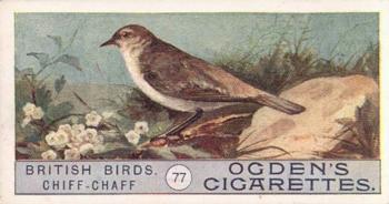 1909 Ogden's British Birds 2nd Series #77 Chiff-Chaff Front