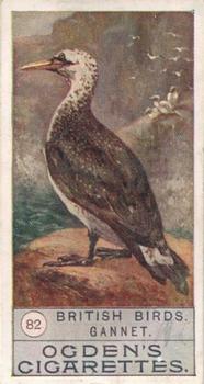 1909 Ogden's British Birds 2nd Series #82 Gannet Front