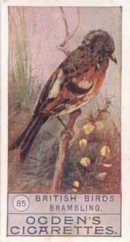 1909 Ogden's British Birds 2nd Series #85 Brambling Front