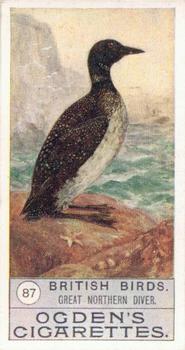 1909 Ogden's British Birds 2nd Series #87 Great Northern Diver Front