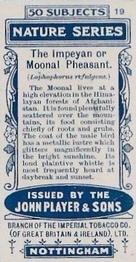 1909 Player's Nature Series #19 Impeyan or Moonal Pheasant Back