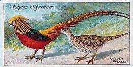 1909 Player's Nature Series #22 Golden Pheasant Front