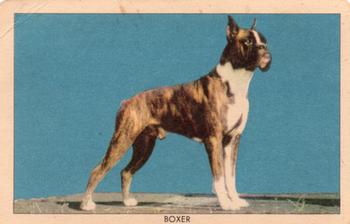 1950 Quaker Oats Challenge of the Yukon Dogs (F279-5) #NNO Boxer Front