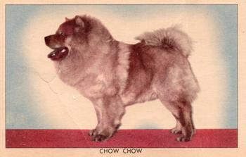 1950 Quaker Oats Challenge of the Yukon Dogs (F279-5) #NNO Chow Chow Front