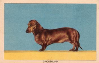 1950 Quaker Oats Challenge of the Yukon Dogs (F279-5) #NNO Dachshund Front