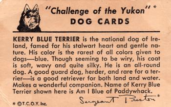1950 Quaker Oats Challenge of the Yukon Dogs (F279-5) #NNO Kerry Blue Terrier Back