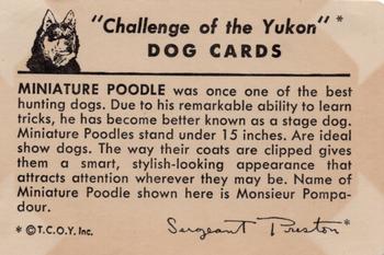 1950 Quaker Oats Challenge of the Yukon Dogs (F279-5) #NNO Miniature Poodle Back