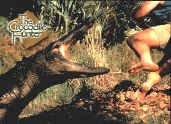 2002 Dart The Crocodile Hunter #6 Talk About a Dangerous job! Front