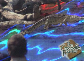 2002 Dart The Crocodile Hunter - Most Dangerous Reptiles #DR-7 Nile Crocodile Front