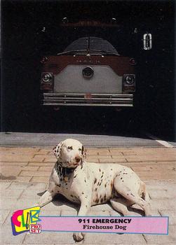 1992 Club Pro Set 911 Emergency #2 Firehouse Dog Front