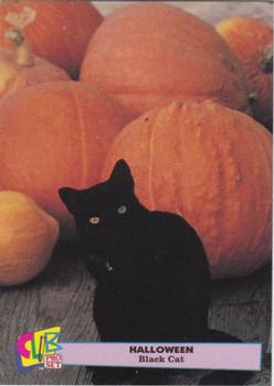 1992 Club Pro Set Halloween - Silver #9 Black Cat Front