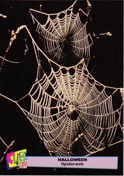 1992 Club Pro Set Halloween - Gold #7 Spiderweb Front