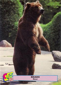 1992 Club Pro Set Bears - Gold #2 Bear Front