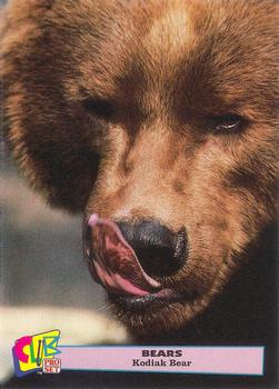 1992 Club Pro Set Bears - Gold #7 Kodiak Bear Front