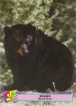 1992 Club Pro Set Bears - Silver #5 Black Bear Front