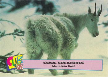 1992 Club Pro Set Cool Creatures #3 Mountain Goat Front