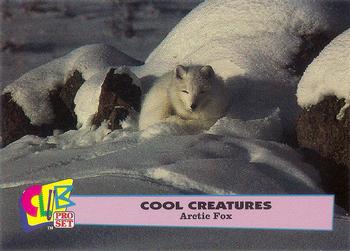 1992 Club Pro Set Cool Creatures #4 Arctic Fox Front